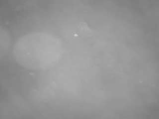 voyeurcam casa salsa pool 1